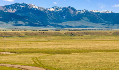 Dirt road winds through a grassy plain toward a distant snow-capped mountain range under a blue sky.