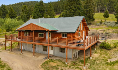 Log cabin on stilts with a green metal roof and wraparound deck in a forest clearing; a small dog sits on the ground nearby behind the deck railing.