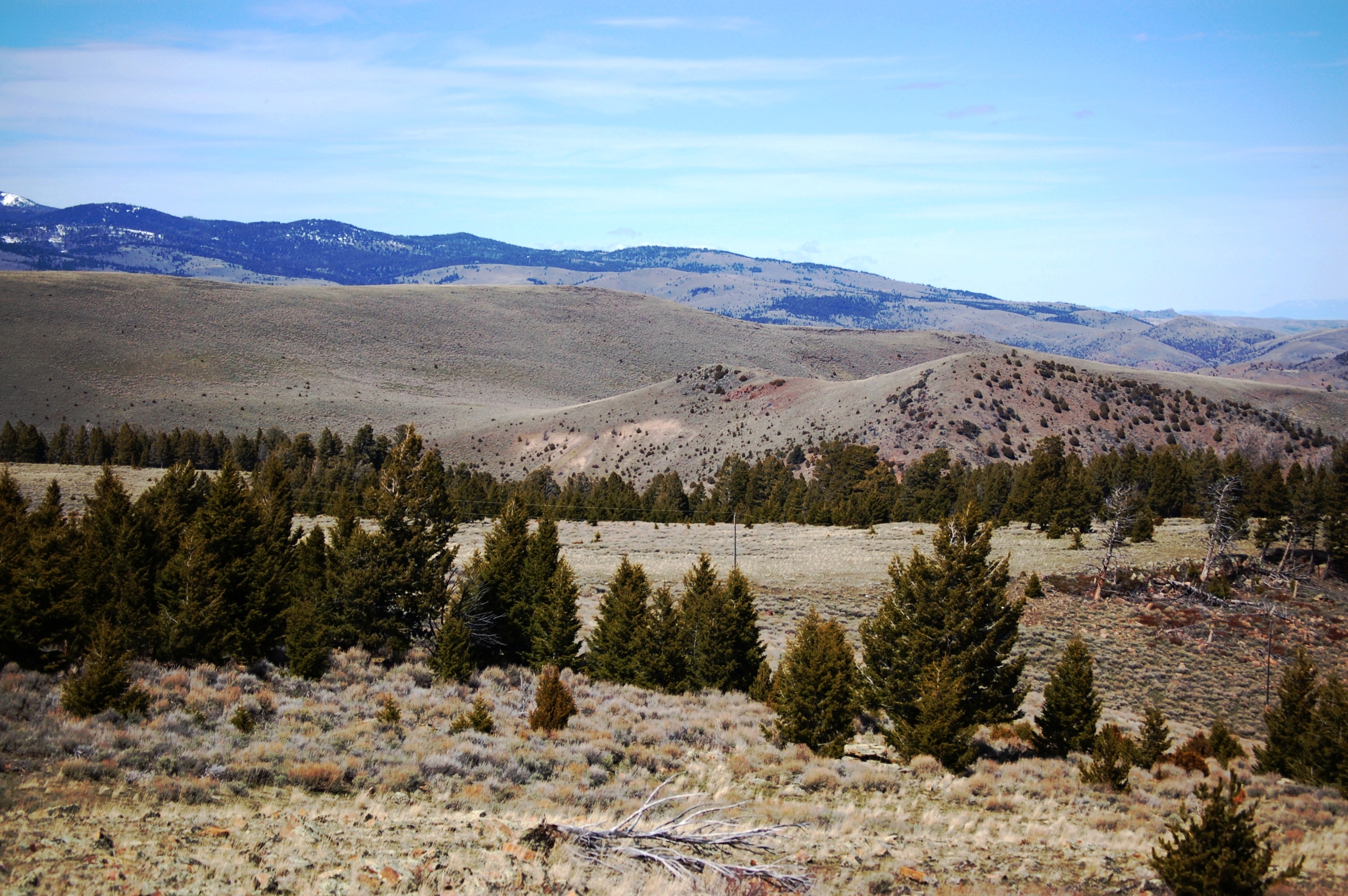 Montana Ranch Properties Junipers