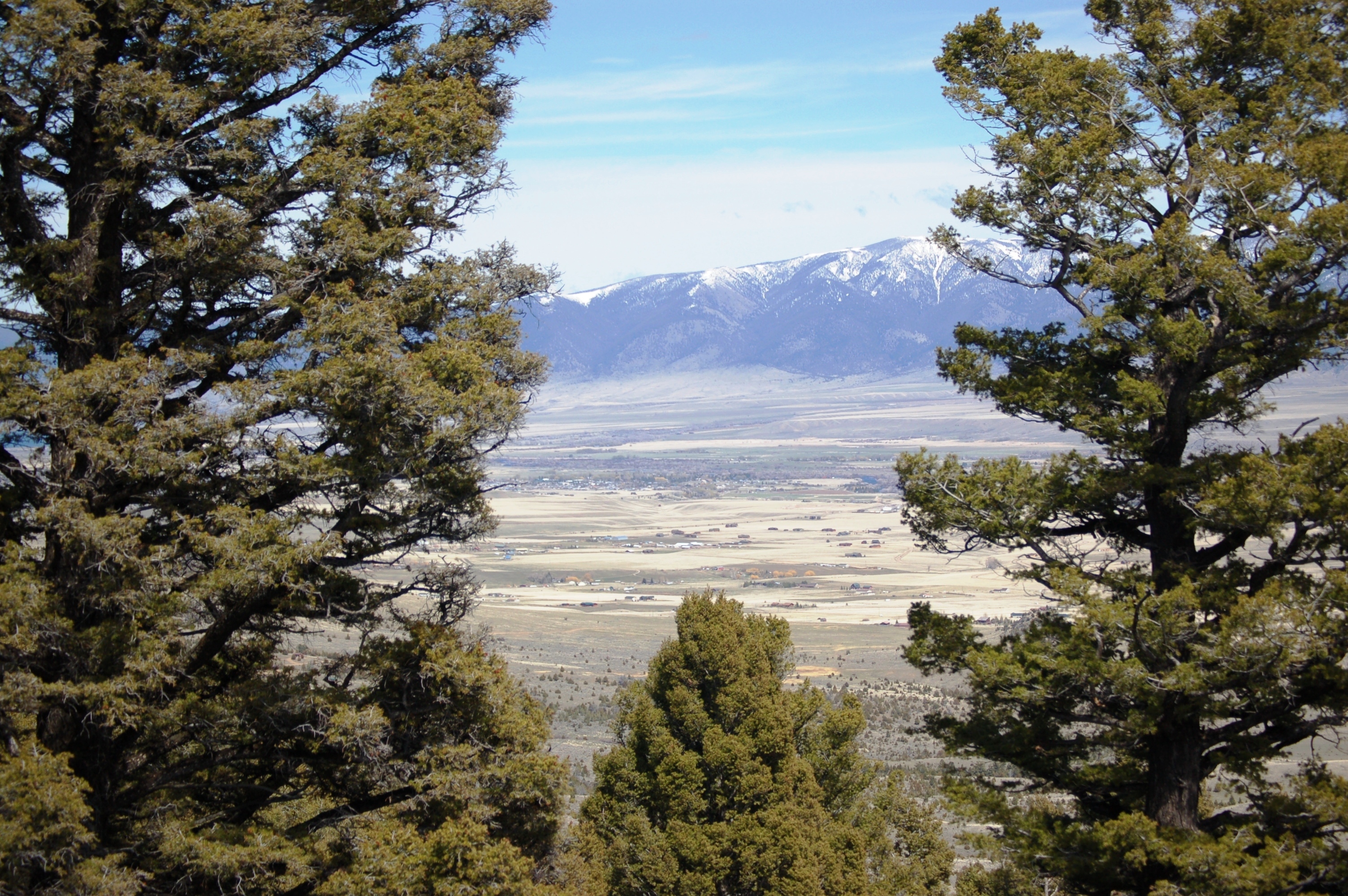 montana-ranch-properties-mature-trees