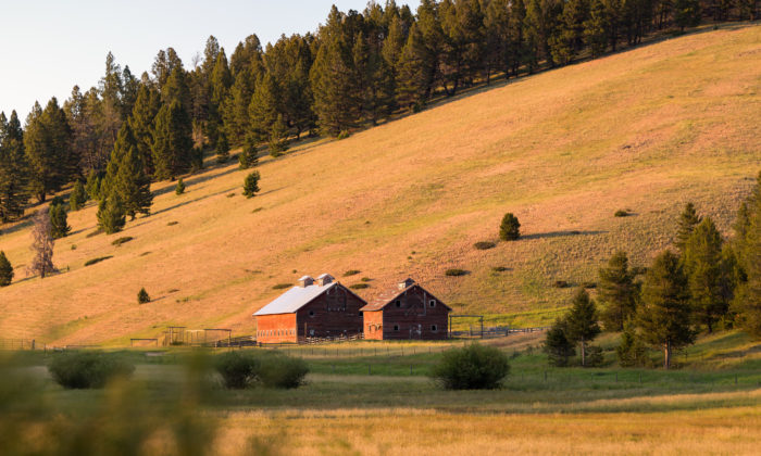 Helena, Montana